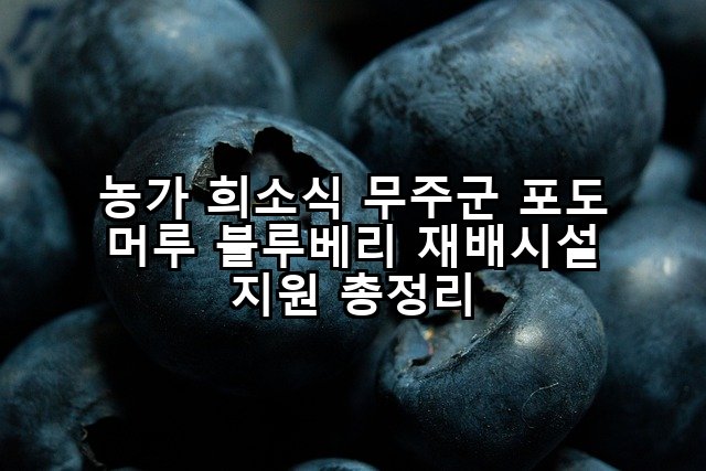 농가 희소식 무주군 포도 머루 블루베리 재배시설 지원 총정리